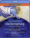 Haydn / Muller / Pilipenko - Die Schopfung - Blu-ray