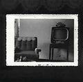 310 - Downtown & Brooklyn Only - Music CD