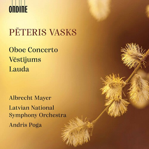 Vasks / Mayer / Poga - Orchestral Works - Music CD