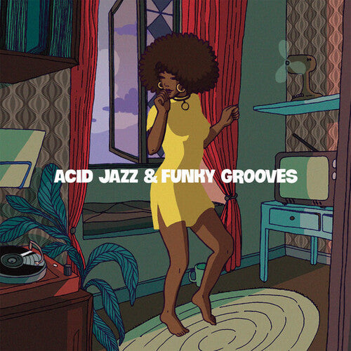 Various Artists - Acid Jazz & Funky Grooves / Various