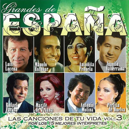 Grandes De Espana: Las Canciones De Tu Vida Vol 3 - Grandes De Espana: Las Canciones De Tu Vida Vol 3 - Music CD