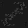 Gamble,lee - Flush Real Pharynx 2019 - 2021 - Music CD