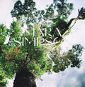 Simpson,mara - In This Place - Music CD