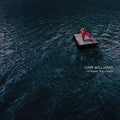 Williams,dar - I'll Meet You Here - Music CD