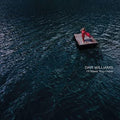 Williams,dar - I'll Meet You Here - Vinyl Record