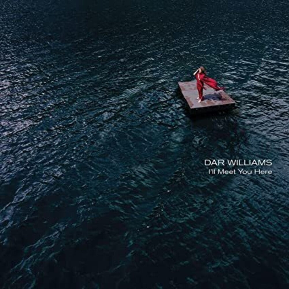 I'll Meet You Here [LP] Vinyl Record