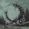 World Is A Beautiful Place & I Am No Longer Afraid - Illusory Walls - Vinyl Record