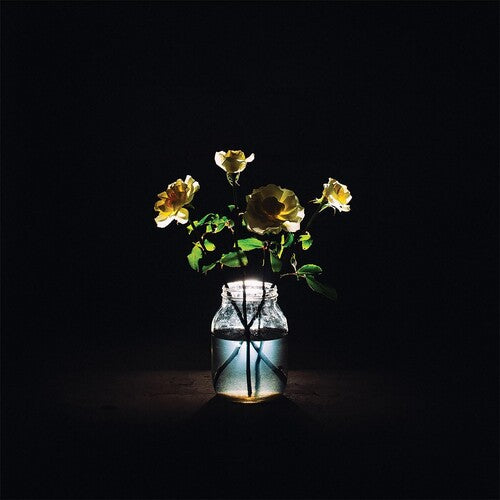 Billy Strings - Renewal [2LP]