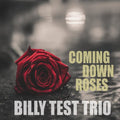 Billy Test Trio - Coming Down Roses - Music CD
