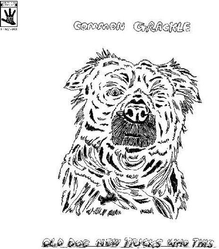 Common Grackle - Old Dog New Tricks Who This - Vinyl Record