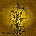 Wovenhand - Laughing Stalk - Vinyl Record