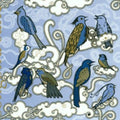 Ibarra,susie - Songbird Suite - Music CD