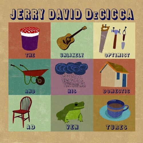 Decicca,jerry David - Unlikely Optimist & His Domestic Adventures - Vinyl Record