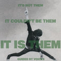 Guided By Voices - It's Not Them. It Couldn't Be Them. It Is Them - Vinyl Record
