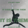 Guided By Voices - It's Not Them. It Couldn't Be Them. It Is Them - Music CD