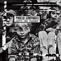 Pinhead Gunpowder - Carry The Banner - Vinyl Record