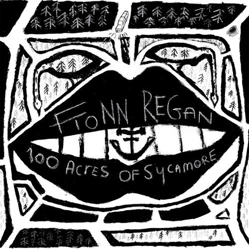 Regan,fionn - 100 Acres Of Sycamore - Vinyl Record