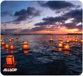 Allsop Naturesmart Lanterns Mousepad - Computer Accessories