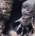 Fear Of God - Toxic Voodoo - Music CD