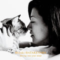 Hatakeyama,miyuki - Dive Into Your Mind - Vinyl Record