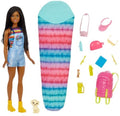 Barbie - Barbie Family Camping Brooklyn Doll - Collectibles