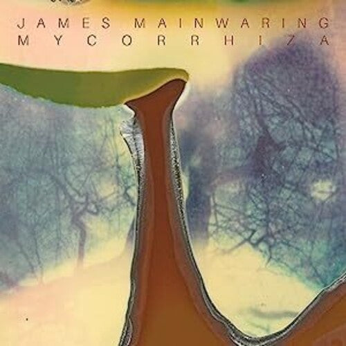 Mainwaring,james - Mycorrhiza - Music CD