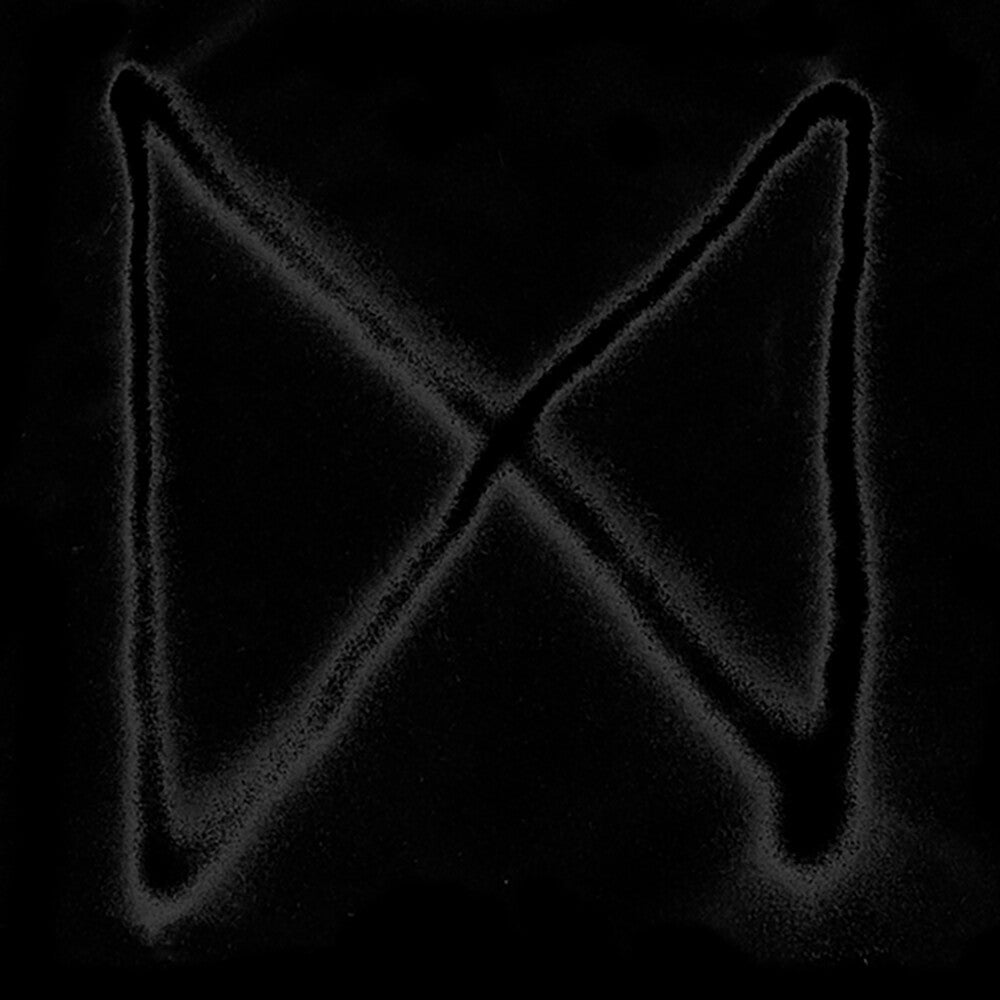 X (Remixes) [12" Vinyl] Vinyl Record