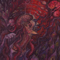 Poison Palinopsia [LP] Vinyl Record
