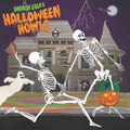 Gold,andrew - Halloween Howls: Fun & Scary Music - Vinyl Record