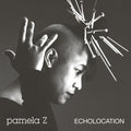 Pamela Z - Echolocation - Natural Swirl - Vinyl Record