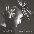 Echolocation (Natural Swirl Vinyl) [Colored Vinyl] Vinyl Record