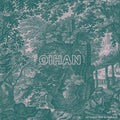Oihan - Un Paseo Por El Bosque - Vinyl Record