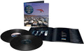 Pink Floyd - Momentary Lapse Of Reason - Vinyl Record