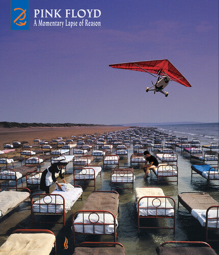 Pink Floyd - Momentary Lapse Of Reason - Music CD