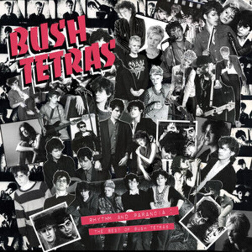 Bush Tetras - Rhythm & Paranoia: The Best of Bush Tetras [3LP]