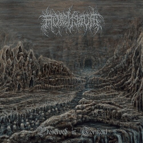 Mortiferum - Preserved In Torment - Vinyl Record