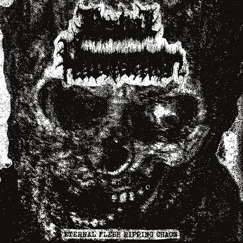 Bestial Putrefaction - Eternal Flesh Ripping Chaos - Vinyl Record