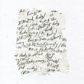 Body/dilloway/head - Body/dilloway/head - Vinyl Record