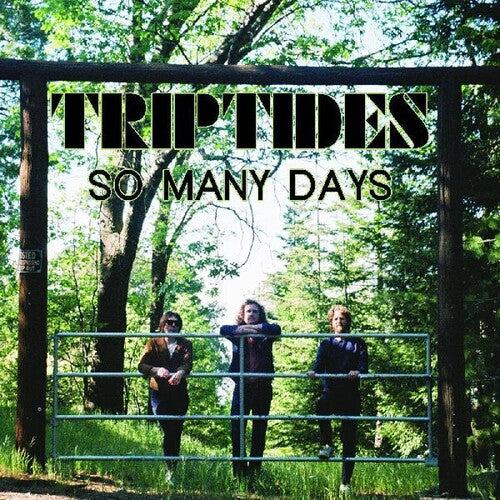 Triptides - So Many Days - Vinyl Record