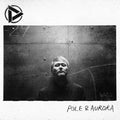 Discharming Man - Pole & Aurora - Vinyl Record