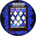 Windowland/I Almost Lost You [12" Vinyl] Vinyl Record