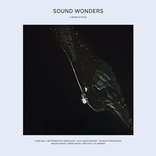 Sound Wonders / Various - Sound Wonders / Various - Vinyl Record