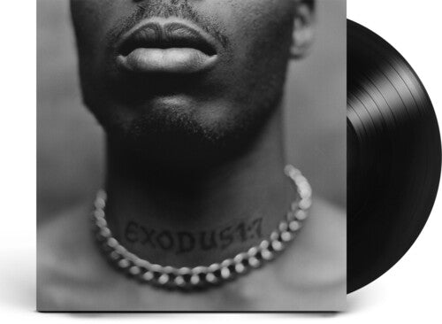 Dmx - Exodus - Vinyl Record