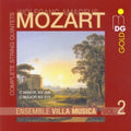 Mozart / Ensemble Villa Musica - String Quintet C Minor - Music CD