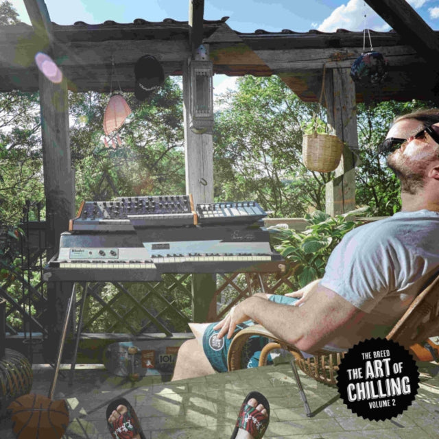 Breed - Art Of Chilling V.2 - LP Vinyl Record