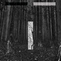 Liebing,chris - Another Day - Music CD