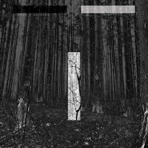 Liebing,chris - Another Day - Music CD