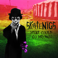 Skatenigs - What Could Go Wrong - Music CD