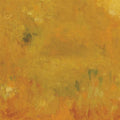 Bevel - Where Leaves Block The Sun - Music CD