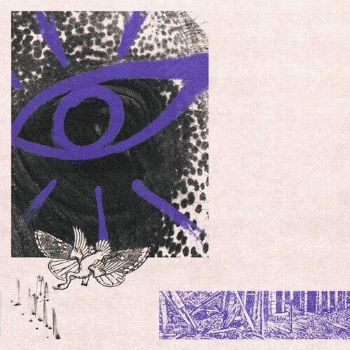Hippo Campus - Lp3 - Music CD